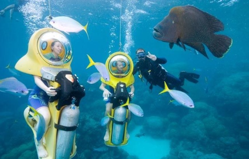 Scubadoo Ocean Exploration Diving Adventure