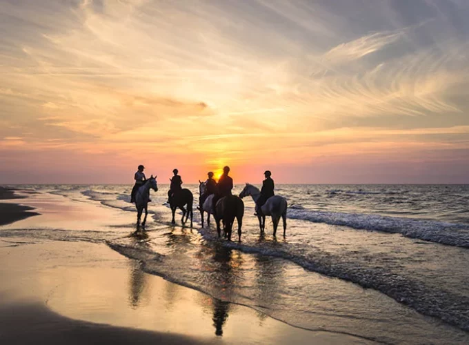 Sunset Horseback Riding Tour from Punta Cana