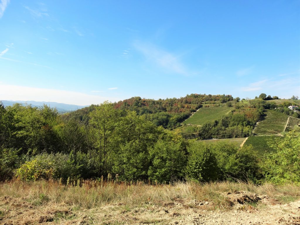 Piemonte : Prachtig gelegen verbouwproject nabij Acqui Terme