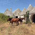 Puglia: Indrukwekkende Masseria met trulli in Agro di Martina Franca