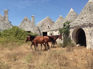 masseria Martinafranca Puglia te koop