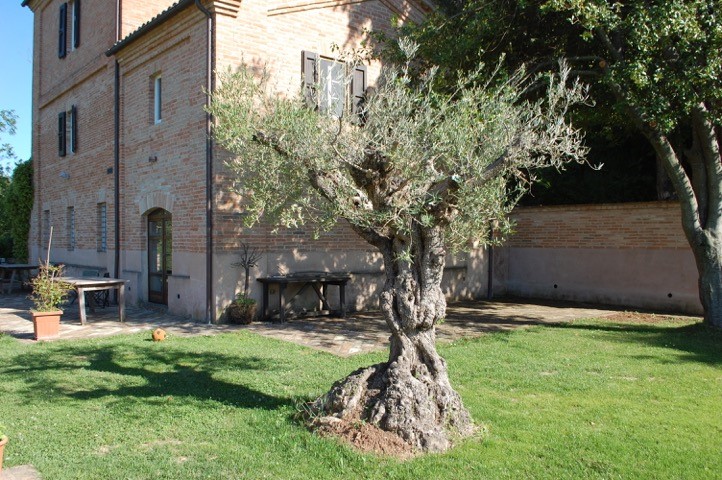 Le Marche : stenen villa met panoramisch uitzicht op wandelafstand van Sant’Angelo in Pontano