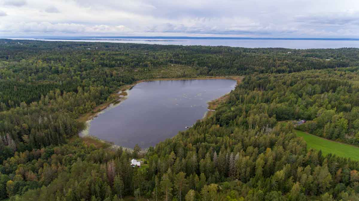Flygbild över skog och sjöar