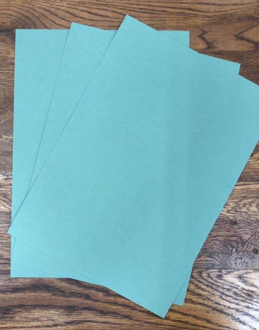Colorplan Light Cardstock Paper - MID GREEN