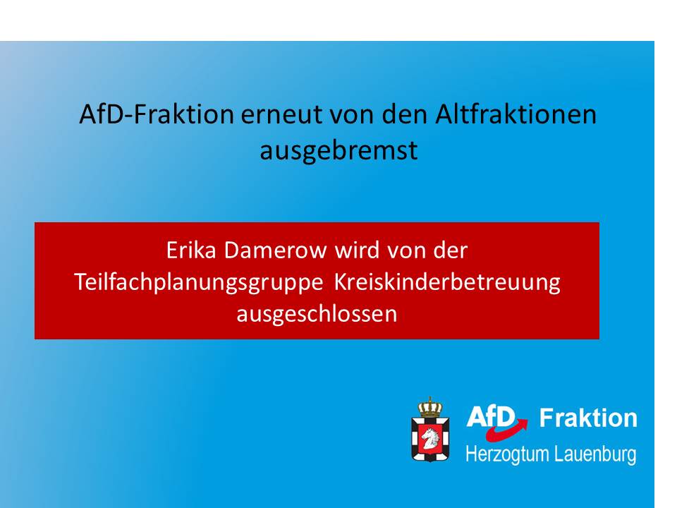 AfD-Fraktion erneut von den Altfraktionen ausgebremst post thumbnail image