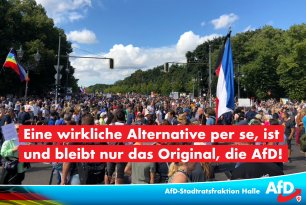 Eine wirkliche Alternative per se, ist und bleibt nur das Original, die AfD