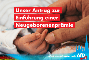 Unser Antrag zur Einführung einer Neugeborenenprämie in der Stadt Halle