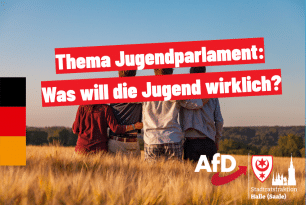 Thema Jugendparlament: Was will die Jugend wirklich? Thema Jugendparlament: Was will die Jugend wirklich?
