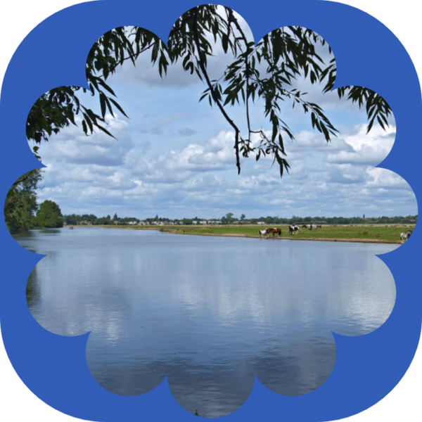 Port Meadow Oxford - a great place to visit in refurbished hearing aids