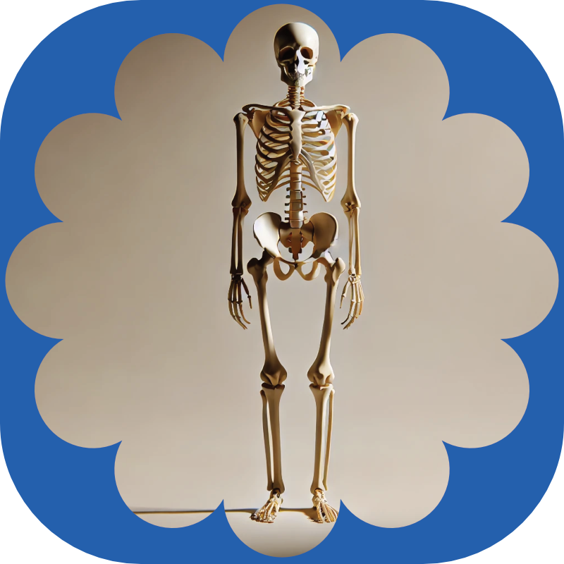 bare bones of NHS lost or broken hearing aids replacement service bare bones of NHS lost or broken hearing aids replacement service