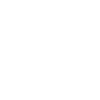 iNEX Logo