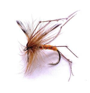 Daddy Long Legs Cranefly - Orange