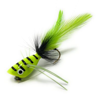 Chartreuse Black Stripped Popper