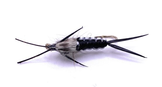 Woven Stonefly Nymph