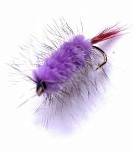 Woolly Worm - Purple