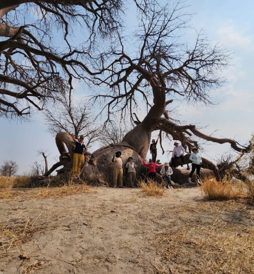 a79029c5-a4be-42c3-b581-2372e00ebdbf-qd2dczl7hngxmg1b54heh14tmy71nzavrz5tzzi8ew Our safaris