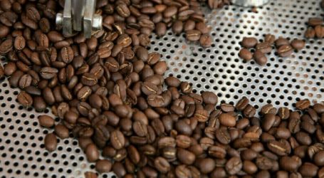 Ouganda : Les exportations de café chutent de 15% à cause de la sécheresse