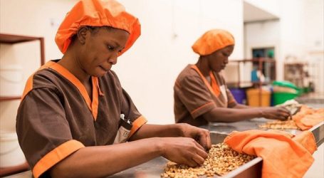 Sénégal : Le FAGACE et le FONGIP lancent une ligne de garantie de 83 millions $ pour les PME