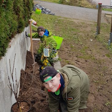 Impressionen rund um den neuen Schulgarten der EKS