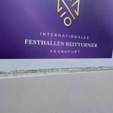 Ein Traum in lila – Besuch des Internationalen Festhallen Reitturniers