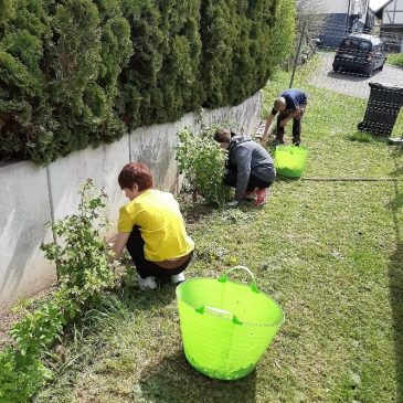 Die Sommersaison beginnt