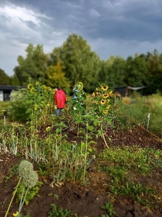 Dette billede har en tom ALT-egenskab (billedbeskrivelse). Filnavnet er Aeldrehaverne02.jpg