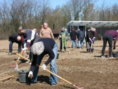 Dette billede har en tom ALT-egenskab (billedbeskrivelse). Filnavnet er Aeldrehaverne05.jpg