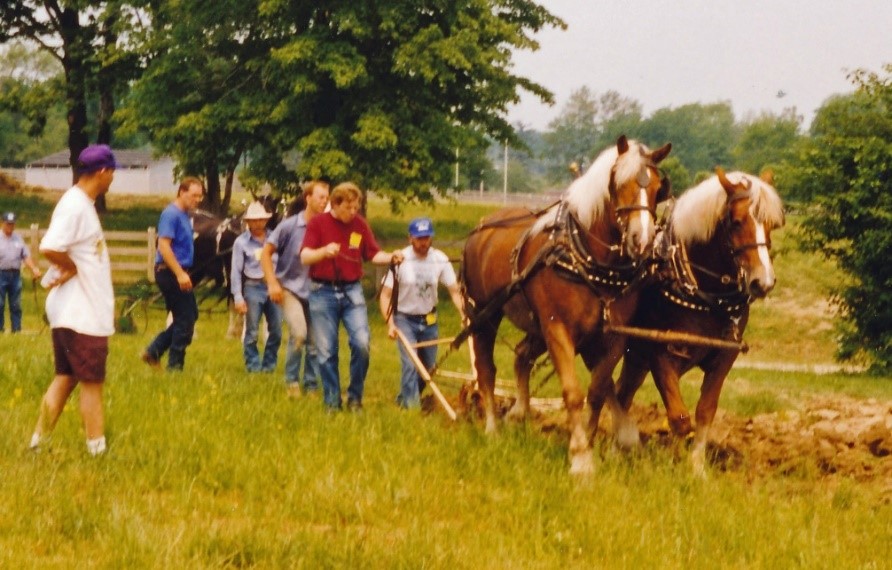 A picture containing grass, outdoor, tree, horse

Description automatically generated