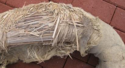 The vermin chewed body of the sedge collar revealing the body packing and hessian lining.