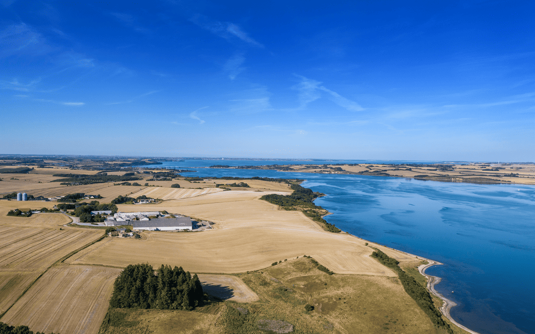 Landbruget vil have livet tilbage i Limfjorden