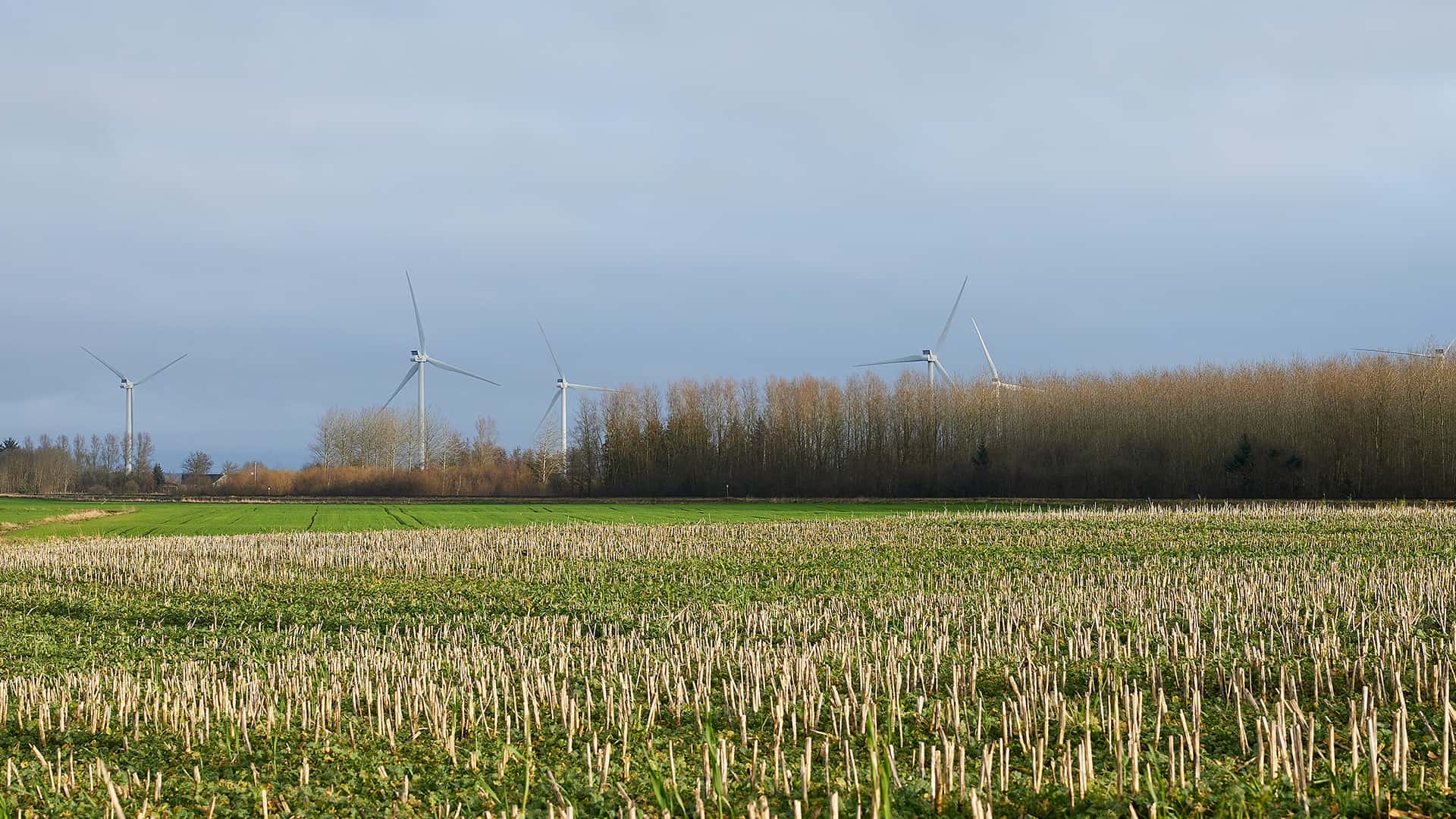 finansieringsrådgivning til landbrug