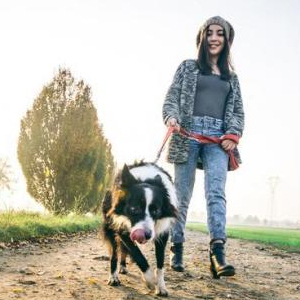 Passeggiata a 6 zampe con i nostri amici cani