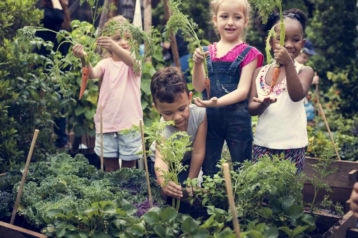 Agricultura escolar com Agro Block