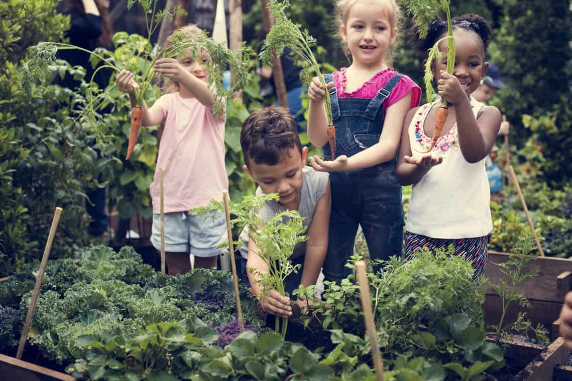 School farming with Agro Block