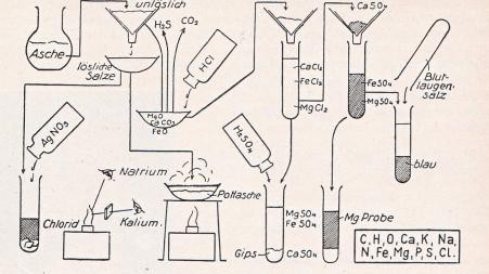 Erlebte Chemie Ascheuntersuchung