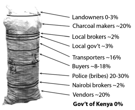 Holzkohle Kenia Erlöse