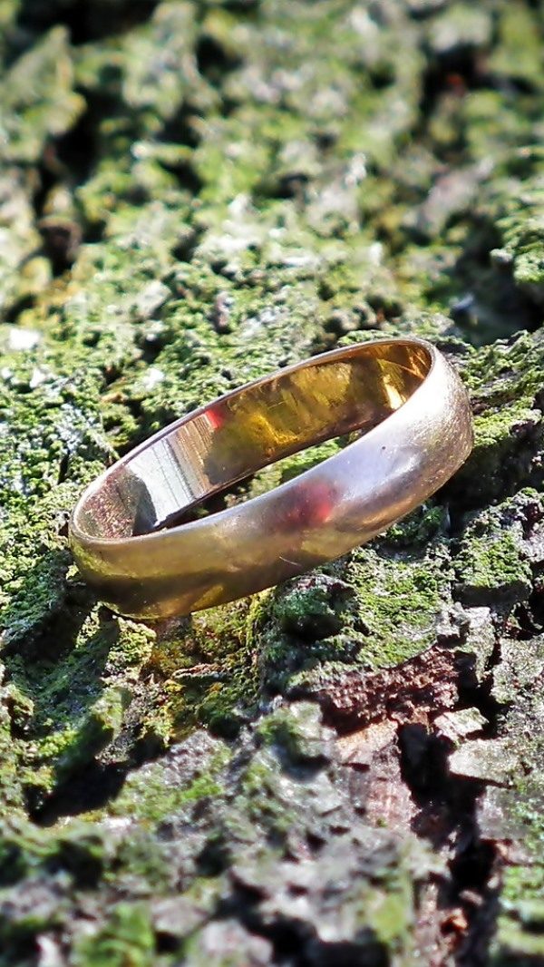 pixabay_wedding-ring-4594130_1920_600x1066 pixabay_wedding-ring-4594130_1920_600x1066