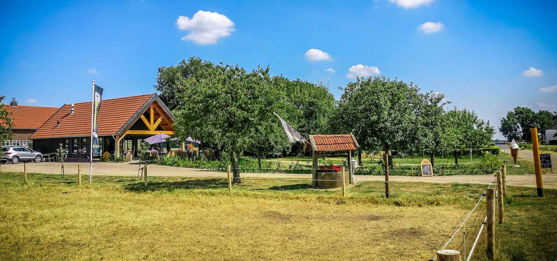 Bloesem eten en drinken