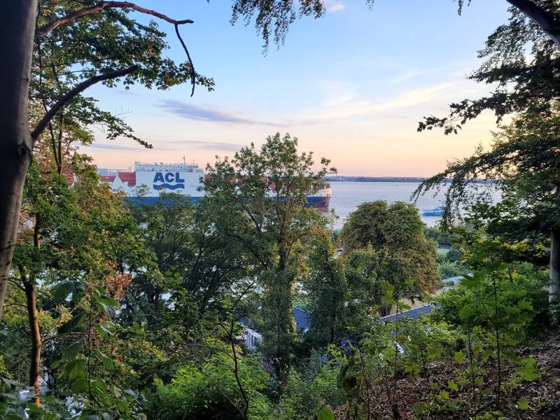 Blick durch einige Bäume hindurch auf die Elbe. Man erkennt ein großes Containerschiff zwischen den Bäumen. Es ist blauer Himmel noch relativ früh am morgen. 