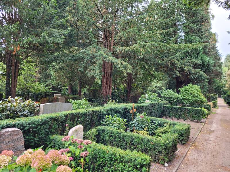 Blick über einen sehr grünen Friedhof mit Hecken und Bäumen.