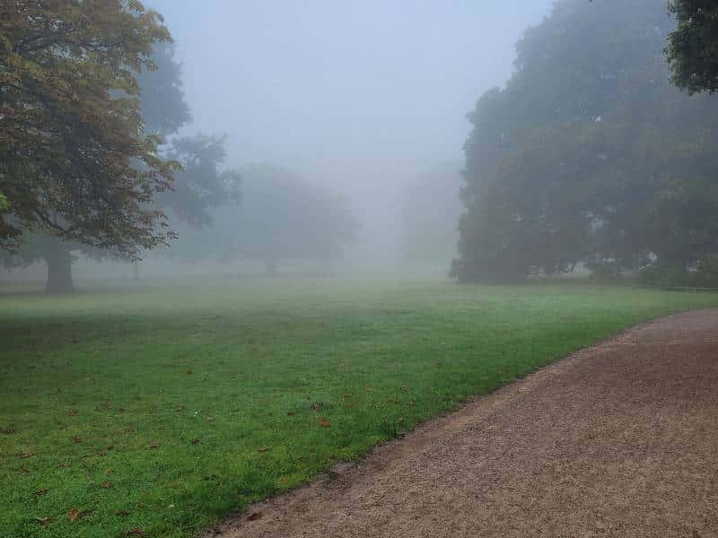 Blick über eine Wiese im Park. Es ist sehr nebelig.