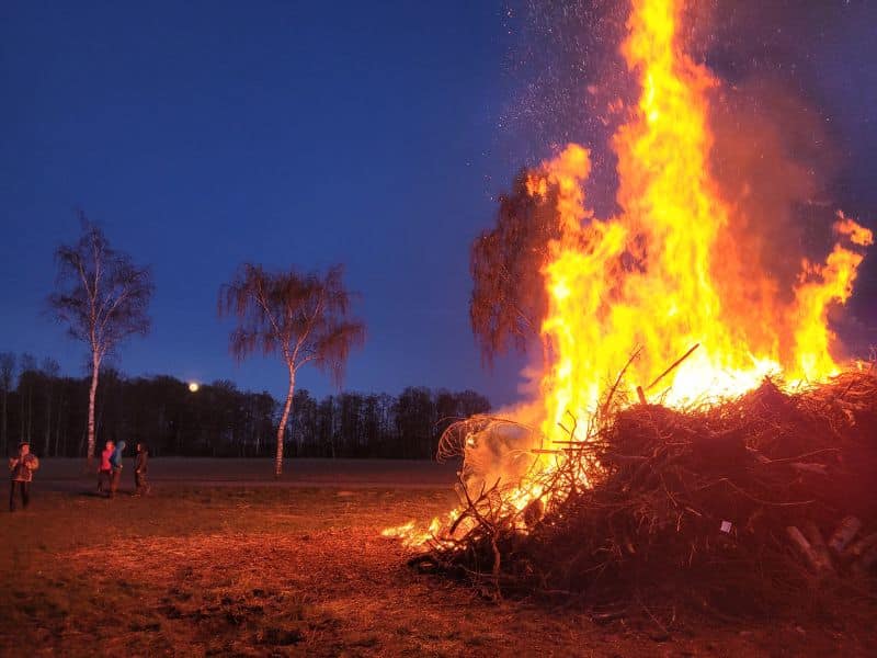 Ein großes Osterfeuer vor dunkelblauem Nachthimmel. Man sieht im Hintergrund ein paar Birken, erleuchtet durch den Schein des Feuers.