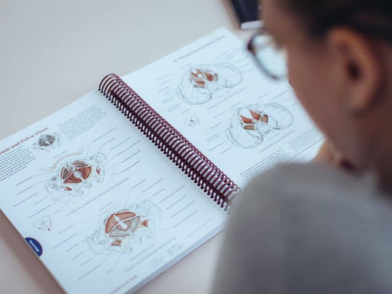 Blick über die Schulter einer Frau, die auf eine Buchseite schaut, auf der anatomische Zeichnungen des Beckenbodens sichtbar sind. Von der Schrift ist nur "Perineum and Pelvic Floor" lesbar, der Rest ist zu klein. Nachhaltiges Beckenbodentraining beinhaltet zu verstehen, wie der Beckenboden aufgebaut ist.