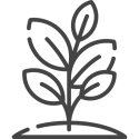 Een goede luchtvochtigheid maakt planten blij Een goede luchtvochtigheid maakt planten blij
