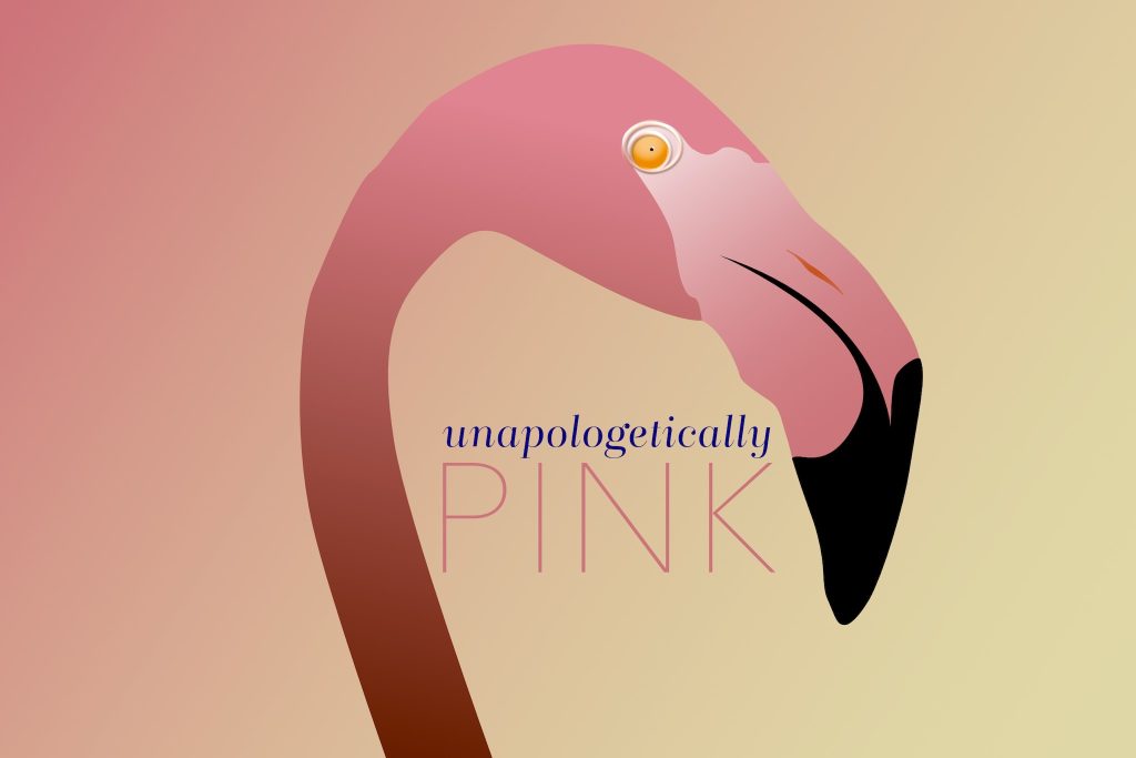 Unapologetically PINK - flamingo illustration