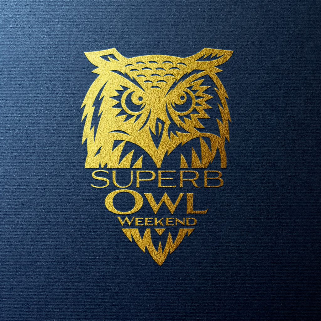 Owl graphic