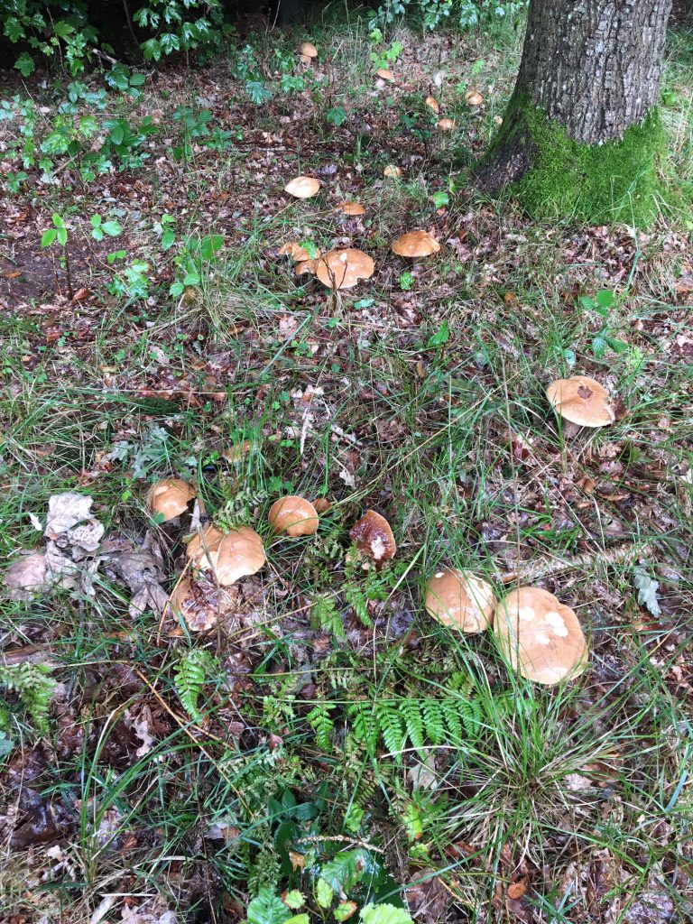 image0