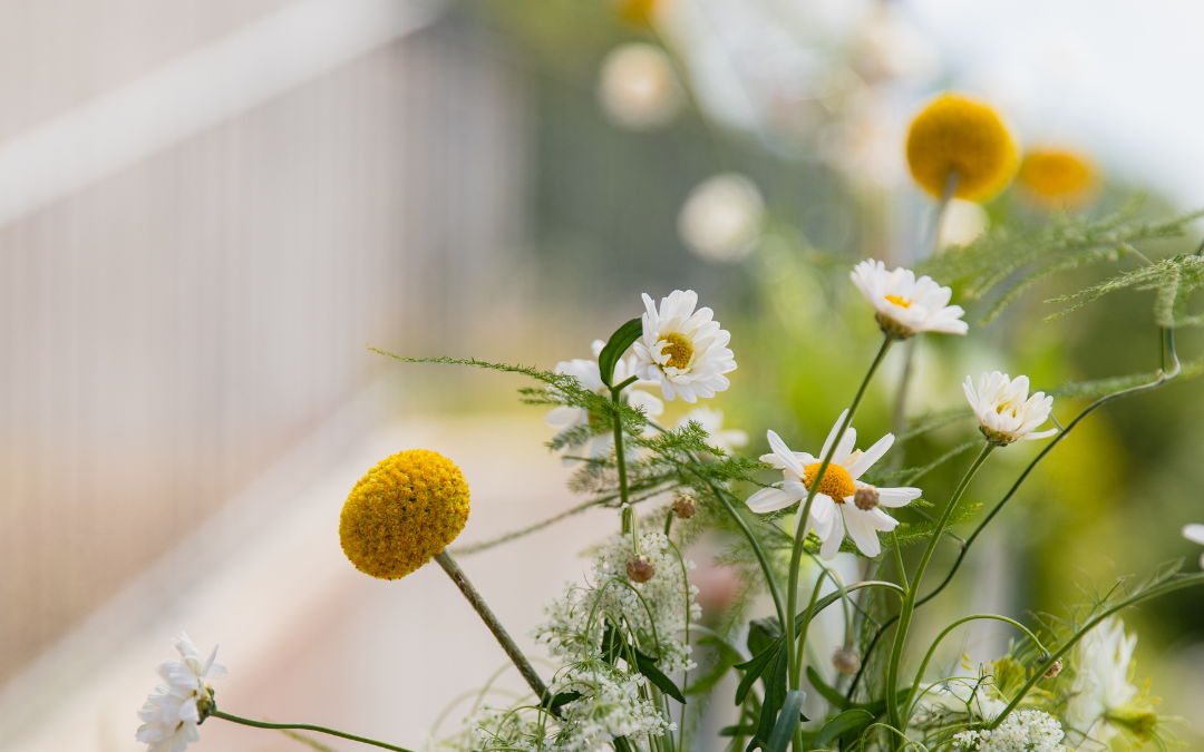 Öppettider Midsommarhelgen