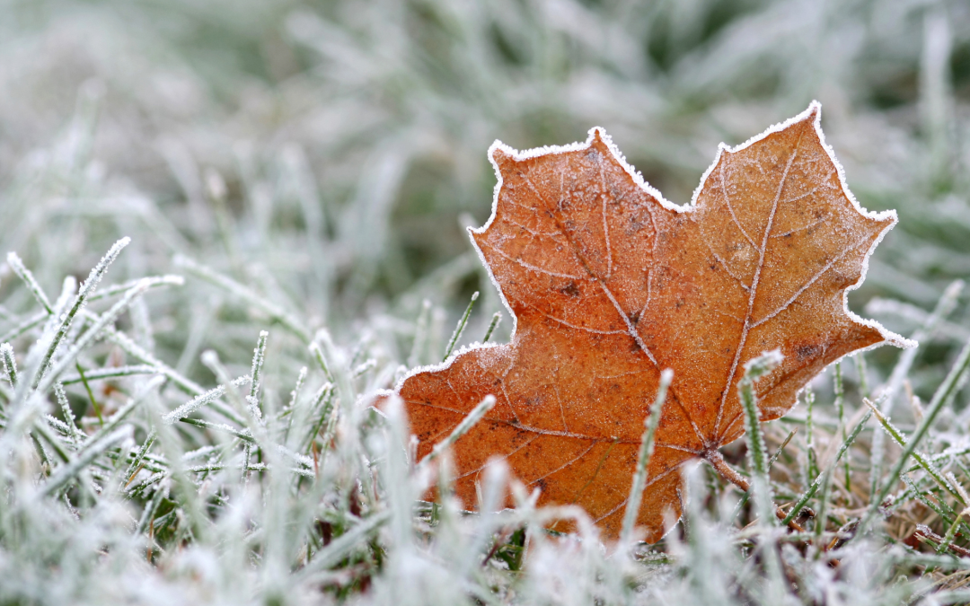 Gäller på banan vid frost