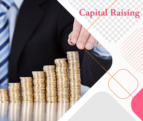 CapitalRaising